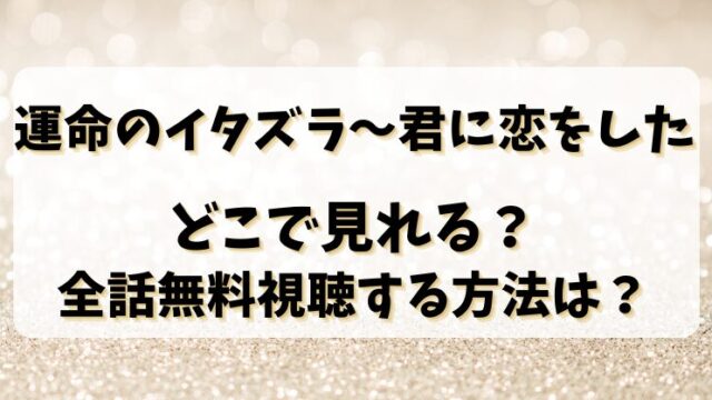 【運命のイタズラ～君に恋をした】どこで見れる？全話無料視聴する方法は？