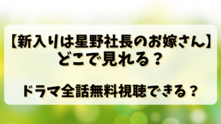 【新入りは星野社長のお嫁さん】どこで見れる？ドラマ全話無料視聴できる？