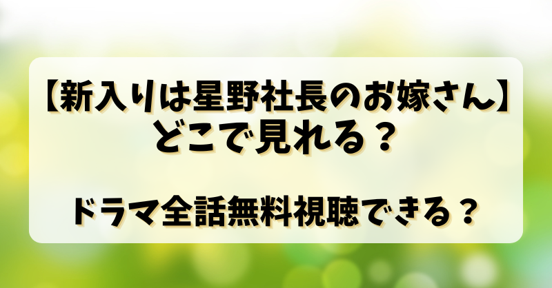 【新入りは星野社長のお嫁さん】どこで見れる？ドラマ全話無料視聴できる？