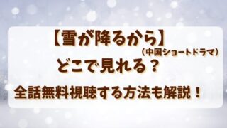 【雪が降るから（中国ショートドラマ）】どこで見れる？無料で全話視聴する方法も解説！