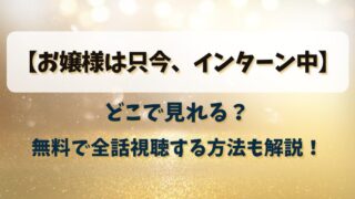 【お嬢様は只今インターン中】どこで見れる？無料で全話視聴する方法も解説！