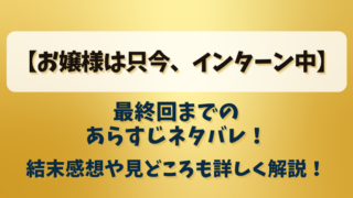 【お嬢様は只今インターン中】最終回までのあらすじネタバレ！結末感想や見どころも詳しく解説！