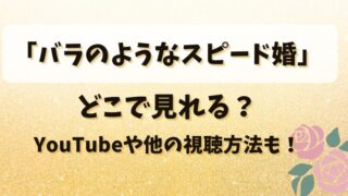 バラのようなスピード婚はどこで見れる？YouTubeや他の視聴方法も！