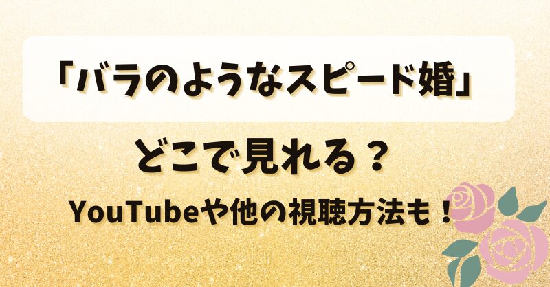 バラのようなスピード婚はどこで見れる？YouTubeや他の視聴方法も！