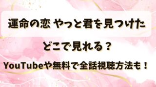 運命の恋 やっと君を見つけた どこで見れる？YouTubeや無料で全話視聴方法も！