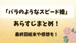 「バラのようなスピード婚」あらすじまとめ！最終回結末や感想も！