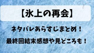 【氷上の再会】ネタバレあらすじまとめ！最終回結末感想や見どころも！