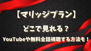 【マリッジプラン】どこで見れる？YouTubeや無料全話視聴する方法も！