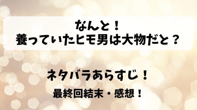 なんと養っていたヒモ男は大物だと ネタバラあらすじ！最終回結末感想！