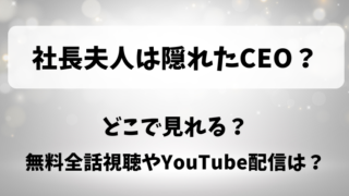 社長夫人は隠れたCEO どこで見れる?無料全話視聴やYouTube配信は?
