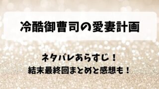 冷酷御曹司の愛妻計画 ネタバレあらすじ!結末最終回まとめと感想も!