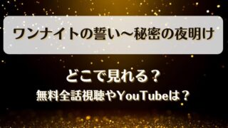 ワンナイトの誓い秘密の夜明け どこで見れる?無料全話視聴やYouTubeは?