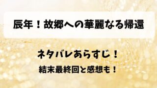 辰年故郷への華麗なる帰還 ネタバレあらすじ！結末最終回と感想も！