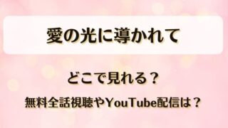 愛の光に導かれて どこで見れる？無料全話視聴やYouTube配信は？