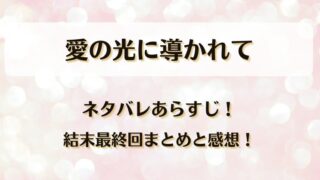 愛の光に導かれて ネタバレあらすじ!結末最終回まとめと感想!