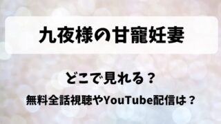 九夜様の甘寵妊妻 どこで見れる?無料全話視聴やYouTube配信は?