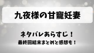 九夜様の甘寵妊妻 ネタバレあらすじ!最終回結末まとめと感想も!