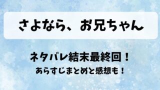 さよならお兄ちゃん ネタバレ結末最終回!あらすじまとめと感想も!