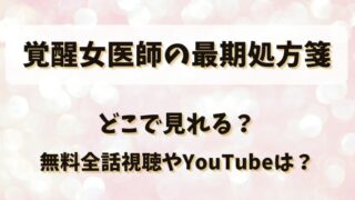 覚醒女医師の最期処方箋 どこで見れる?無料全話視聴やYouTubeは?