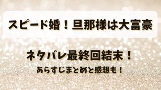 スピード婚旦那様は大富豪 ネタバレ最終回結末！あらすじまとめと感想も！