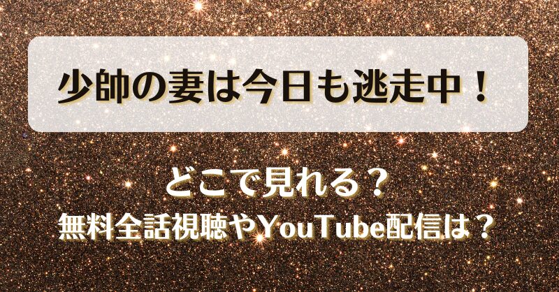 少帥の妻は今日も逃走中 どこで見れる？無料全話視聴やYouTube配信は？