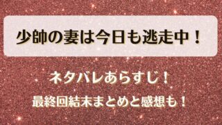 少帥の妻は今日も逃走中 ネタバレあらすじ！最終回結末まとめと感想も！