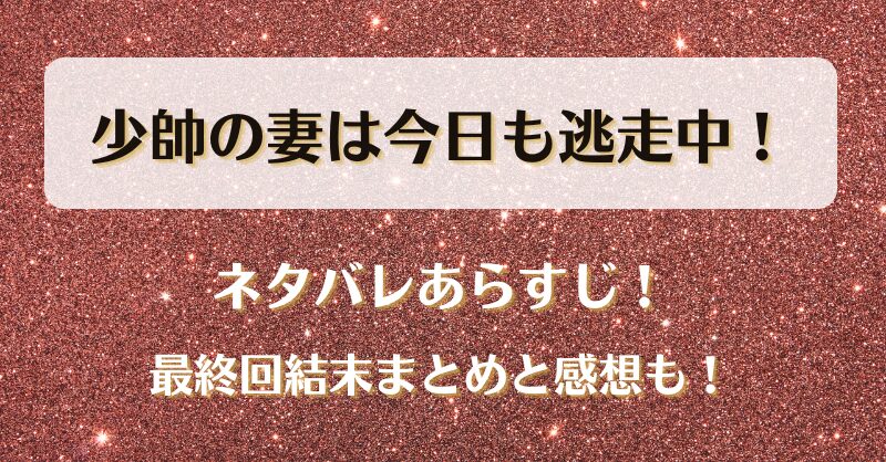 少帥の妻は今日も逃走中 ネタバレあらすじ！最終回結末まとめと感想も！