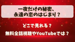 一夜だけの秘密永遠の恋のはじまり どこで見れる?無料全話視聴やYouTubeでは?