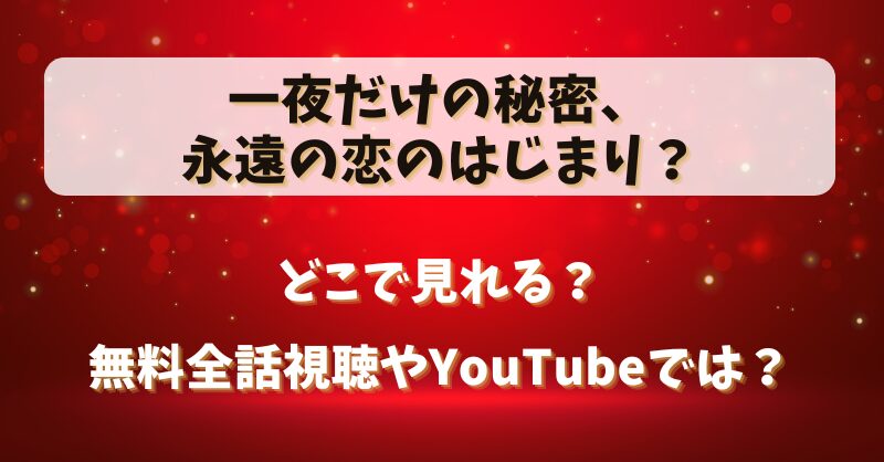 一夜だけの秘密永遠の恋のはじまり どこで見れる？無料全話視聴やYouTubeでは？