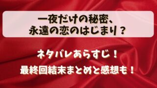 一夜だけの秘密永遠の恋のはじまり ネタバレあらすじ！最終回結末まとめと感想も！