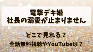 電撃デキ婚社長の溺愛が止まりません どこで見れる？全話無料視聴やYouTubeは？
