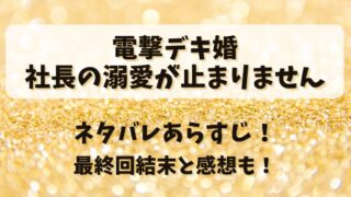 電撃デキ婚社長の溺愛が止まりません ネタバレあらすじ！最終回結末と感想も！