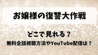 お嬢様の復讐大作戦 どこで見れる？無料全話視聴方法やYouTube配信は？