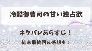 冷酷御曹司の甘い独占欲 ネタバレあらすじ！結末最終回＆感想も！