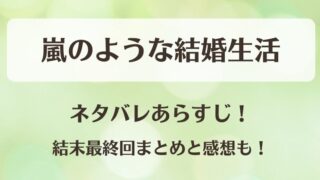 嵐のような結婚生活 ネタバレあらすじ!結末最終回まとめと感想も!