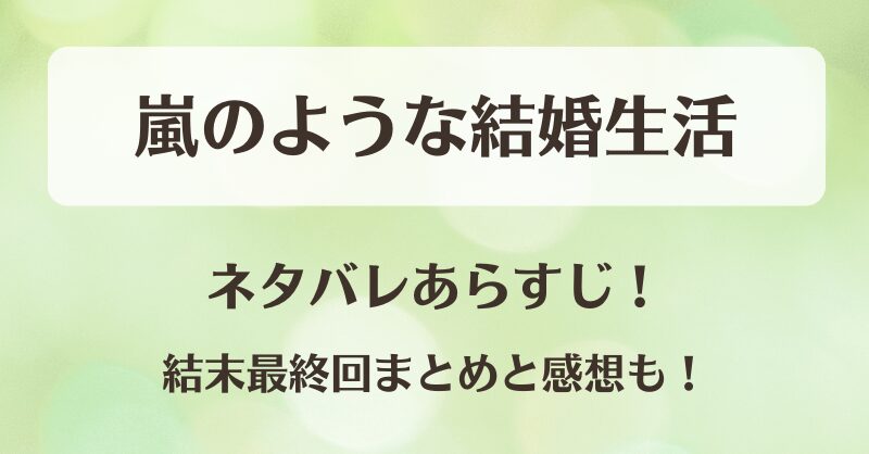 嵐のような結婚生活 ネタバレあらすじ！結末最終回まとめと感想も！