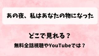 あの夜私はあなたの物になった どこで見れる?無料全話視聴やYouTubeでは?