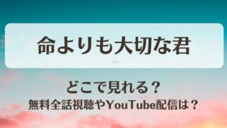 命よりも大切な君 どこで見れる？無料全話視聴やYouTube配信は？