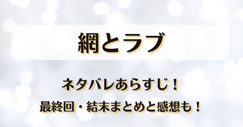 網とラブ ネタバレあらすじ！最終回結末まとめと感想も！