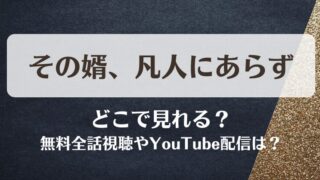 その婿凡人にあらず どこで見れる？無料全話視聴やYouTube配信は？