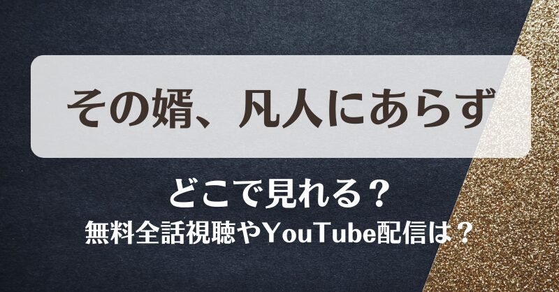 その婿凡人にあらず どこで見れる？無料全話視聴やYouTube配信は？