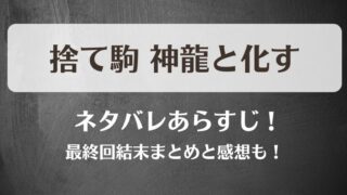 捨て駒神龍と化す ネタバレあらすじ！最終回結末まとめと感想も！