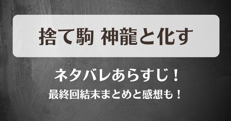 捨て駒神龍と化す ネタバレあらすじ！最終回結末まとめと感想も！