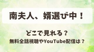 南夫人、婿選び中！どこで見れる？無料全話視聴やYouTube配信は？