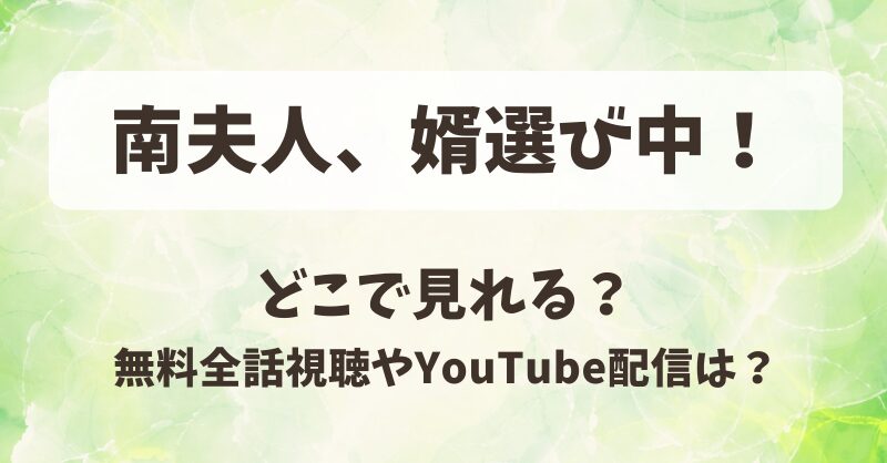 南夫人、婿選び中！どこで見れる？無料全話視聴やYouTube配信は？
