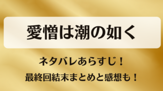 愛憎は潮の如く ネタバレあらすじ！最終回結末まとめと感想も！