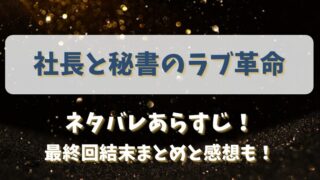 社長と秘書のラブ革命 ネタバレあらすじ！最終回結末まとめと感想も！