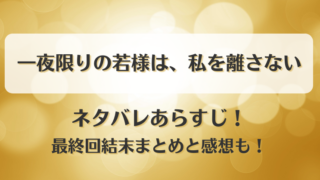 一夜限りの若様は私を離さない ネタバレあらすじ！最終回結末まとめと感想も！