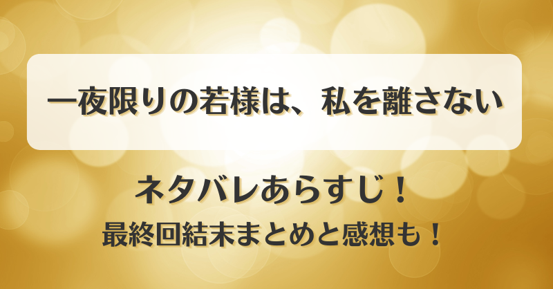 一夜限りの若様は私を離さない ネタバレあらすじ！最終回結末まとめと感想も！