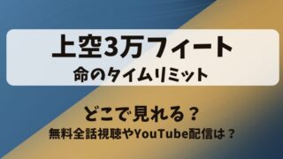 上空3万フィート命のタイムリミット どこで見れる？無料全話視聴やYouTube配信は？